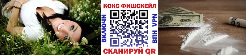 COCAIN Fish Scale  сайты даркнета клад  Горячеводский  mega зеркало 