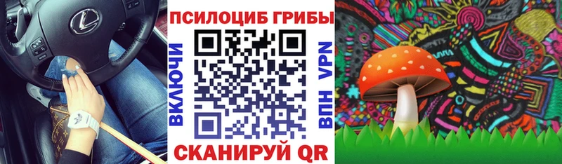 Галлюциногенные грибы мухоморы  Горячеводский 