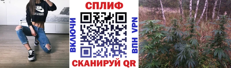 Бошки марихуана конопля  дарнет шоп  Горячеводский 